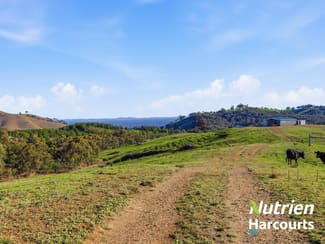 Rural / Farming commercial property for sale at 613 Diffey Road Everton VIC 3678 Rural / Farming commercial property for sale at 613 Diffey Road Everton VIC 3678