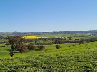 Rural / Farming commercial property sold at 4781 Muttama Road Cootamundra NSW 2590 Rural / Farming commercial property sold at 4781 Muttama Road Cootamundra NSW 2590