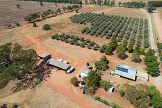Rural / Farming commercial property sold at 9 The Mcgrane Way Tullamore NSW 2874 Rural / Farming commercial property sold at 9 The Mcgrane Way Tullamore NSW 2874