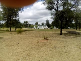 Rural / Farming commercial property for sale at 495 Staines Road Tara QLD 4421 Rural / Farming commercial property for sale at 495 Staines Road Tara QLD 4421