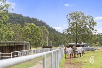 Rural / Farming commercial property sold at 2240 Putty Road Bulga NSW 2330 Rural / Farming commercial property sold at 2240 Putty Road Bulga NSW 2330
