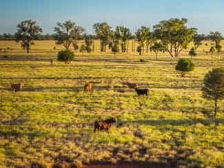 Rural / Farming commercial property sold at 17020 Mitchell-St George Road St George QLD 4487 Rural / Farming commercial property sold at 17020 Mitchell-St George Road St George QLD 4487