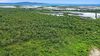 Rural / Farming commercial property for sale at 602 Bentley Drive Nome QLD 4816