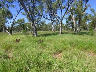 Rural / Farming commercial property sold at 4631 Middle Creek Road Langlo QLD 4470 Rural / Farming commercial property sold at 4631 Middle Creek Road Langlo QLD 4470