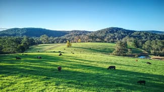 Rural / Farming commercial property for sale at Dorrigo NSW 2453 Rural / Farming commercial property for sale at Dorrigo NSW 2453