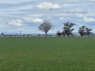 Rural / Farming commercial property for sale at 122 Reapers Road Culcairn NSW 2660 Rural / Farming commercial property for sale at 122 Reapers Road Culcairn NSW 2660