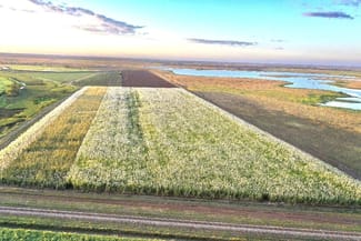 Rural / Farming commercial property for sale at 25 Lochinvar Road Brandon QLD 4808