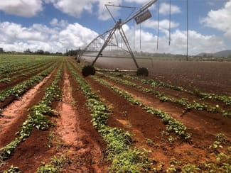 Rural / Farming commercial property for sale at 139 Tinaroo Falls Dam Road Atherton QLD 4883 Rural / Farming commercial property for sale at 139 Tinaroo Falls Dam Road Atherton QLD 4883