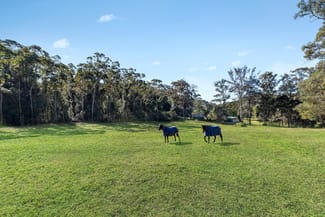 Rural / Farming commercial property sold at 106 Footts Road Ourimbah NSW 2258 Rural / Farming commercial property sold at 106 Footts Road Ourimbah NSW 2258