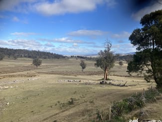 Rural / Farming commercial property sold at 1561 Dennistoun Road Bothwell TAS 7030
