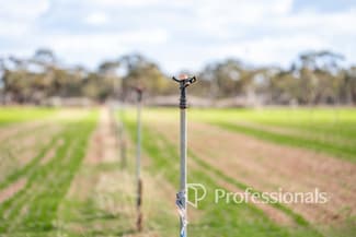 Rural / Farming commercial property for sale at Cnr Norman Road Merbein West VIC 3505 Rural / Farming commercial property for sale at Cnr Norman Road Merbein West VIC 3505