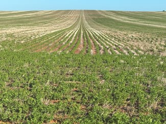 Rural / Farming commercial property sold at Schoddes Road Sea Lake VIC 3533 Rural / Farming commercial property sold at Schoddes Road Sea Lake VIC 3533
