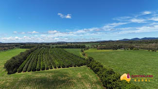 Rural / Farming commercial property for sale at Banchio Road Tolga QLD 4882 Rural / Farming commercial property for sale at Banchio Road Tolga QLD 4882