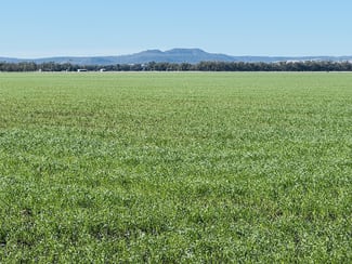Rural / Farming commercial property sold at Lot 95 Bacons Road Kelvinhaugh QLD 4401 Rural / Farming commercial property sold at Lot 95 Bacons Road Kelvinhaugh QLD 4401