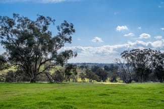 Rural / Farming commercial property for sale at 289 Paling Yards Loop Bowan Park NSW 2864