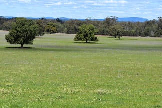 Rural / Farming commercial property for sale at 120 Melrose Plains Road Fifield NSW 2875