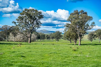 Rural / Farming commercial property for sale at 2852 Shelley Road Walwa VIC 3709