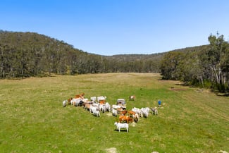 Rural / Farming commercial property for sale at 'Yabragunyah' Pilton Valley Road Upper Pilton QLD 4361 Rural / Farming commercial property for sale at 'Yabragunyah' Pilton Valley Road Upper Pilton QLD 4361