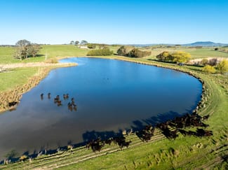 Rural / Farming commercial property sold at 110 & 136 Beneree Road Tallwood NSW 2798 Rural / Farming commercial property sold at 110 & 136 Beneree Road Tallwood NSW 2798