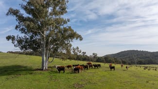 Rural / Farming commercial property sold at 528 Gundowda Road Mudgee NSW 2850 Rural / Farming commercial property sold at 528 Gundowda Road Mudgee NSW 2850