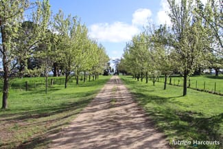 Rural / Farming commercial property for sale at 524 Remembrance Drive Windermere VIC 3352 Rural / Farming commercial property for sale at 524 Remembrance Drive Windermere VIC 3352