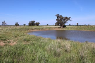 Rural / Farming commercial property for sale at Dandaloo Road Albert NSW 2873 Rural / Farming commercial property for sale at Dandaloo Road Albert NSW 2873