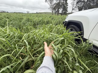 Rural / Farming commercial property for sale at CA E SEC4, CA F SEC4 Eastern Peake Road Mount Bolton VIC 3352
