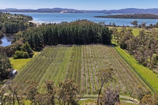 Rural / Farming commercial property for sale at 4378 West Tamar Highway Beauty Point TAS 7270 Rural / Farming commercial property for sale at 4378 West Tamar Highway Beauty Point TAS 7270