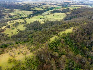 Rural / Farming commercial property for sale at Candelo NSW 2550