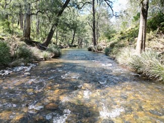 Rural / Farming commercial property for sale at 638 Tops Road Nowendoc NSW 2354