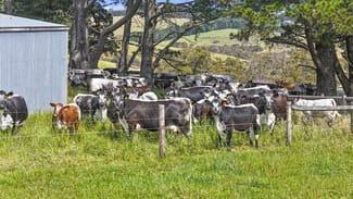 Rural / Farming commercial property sold at 137 Faggotter Road Myponga SA 5202