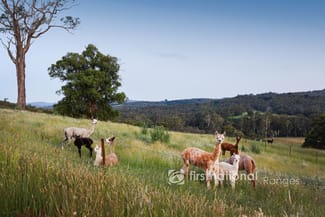Rural / Farming commercial property for sale at 8 Kennedy Road Avonsleigh VIC 3782 Rural / Farming commercial property for sale at 8 Kennedy Road Avonsleigh VIC 3782