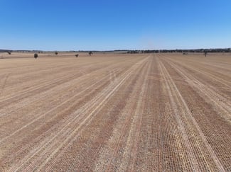 Rural / Farming commercial property sold at 'Nolens' 5000 Barellan Road Colinroobie NSW 2700 Rural / Farming commercial property sold at 'Nolens' 5000 Barellan Road Colinroobie NSW 2700
