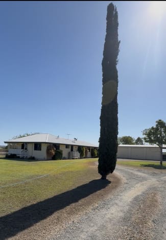 Rural / Farming commercial property sold at 49 Mckenzie Road Alton Downs QLD 4702 Rural / Farming commercial property sold at 49 Mckenzie Road Alton Downs QLD 4702