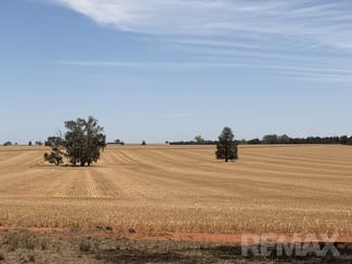Rural / Farming commercial property for sale at 9547 Mahonga Road Urana NSW 2645 Rural / Farming commercial property for sale at 9547 Mahonga Road Urana NSW 2645