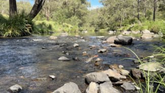 Rural / Farming commercial property for sale at 191 Sheepstation Creek Road Dundurrabin NSW 2453 Rural / Farming commercial property for sale at 191 Sheepstation Creek Road Dundurrabin NSW 2453