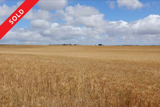 Rural / Farming commercial property for sale at 33 Lutze Road Coonalpyn SA 5265