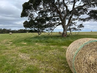 Rural / Farming commercial property for sale at 490 East West Two Highway Seddon SA 5223 Rural / Farming commercial property for sale at 490 East West Two Highway Seddon SA 5223