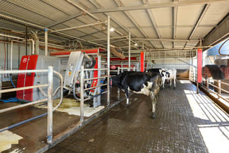 Rural / Farming commercial property for sale at 111 Smith Street Heywood VIC 3304 Rural / Farming commercial property for sale at 111 Smith Street Heywood VIC 3304