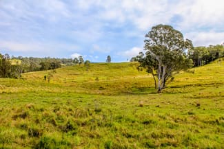Rural / Farming commercial property for sale at 5244 Bruxner Highway Mummulgum NSW 2469