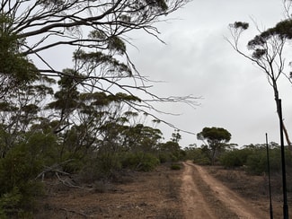 Rural / Farming commercial property sold at Lot 104 Cant Road Kimba SA 5641 Rural / Farming commercial property sold at Lot 104 Cant Road Kimba SA 5641