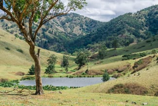 Rural / Farming commercial property for sale at 1746 Stewarts Brook Rd Stewarts Brook NSW 2337