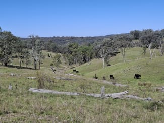 Rural / Farming commercial property for sale at Lot 14 Silver Spur Redgate Road Silver Spur QLD 4385