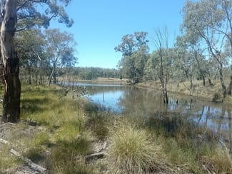 Rural / Farming commercial property for sale at 1025 Castlereagh Highway Dunedoo NSW 2844 Rural / Farming commercial property for sale at 1025 Castlereagh Highway Dunedoo NSW 2844