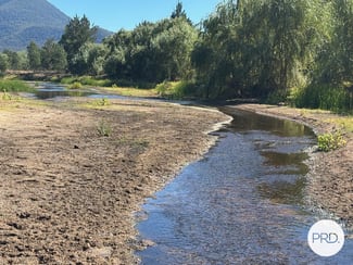 Rural / Farming commercial property for sale at 197 Mount Dangar Road, Baerami NSW 2333 Rural / Farming commercial property for sale at 197 Mount Dangar Road, Baerami NSW 2333