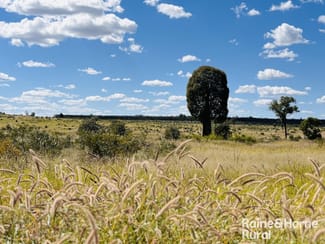 Rural / Farming commercial property for sale at 640 Carrington Road Roma QLD 4455