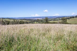 Rural / Farming commercial property for sale at 245 Chinnocks Road Walcha NSW 2354 Rural / Farming commercial property for sale at 245 Chinnocks Road Walcha NSW 2354