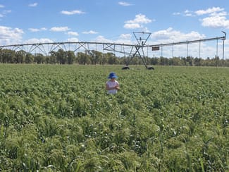 Rural / Farming commercial property for sale at 'Glenhurst' 4448 Tarwoona Road Twin Rivers NSW 2410