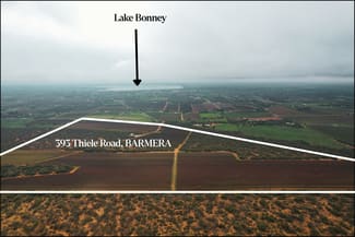 Rural / Farming commercial property for sale at 393 Thiele Road Loveday SA 5345 Rural / Farming commercial property for sale at 393 Thiele Road Loveday SA 5345