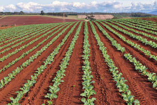 Rural / Farming commercial property for sale at 384 Port Sorrell Road Wesley Vale TAS 7307